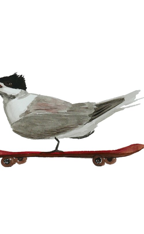 Stern on a skateboard by Karina Danylchuk