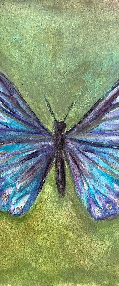 Butterfly II by Dawn Rodger