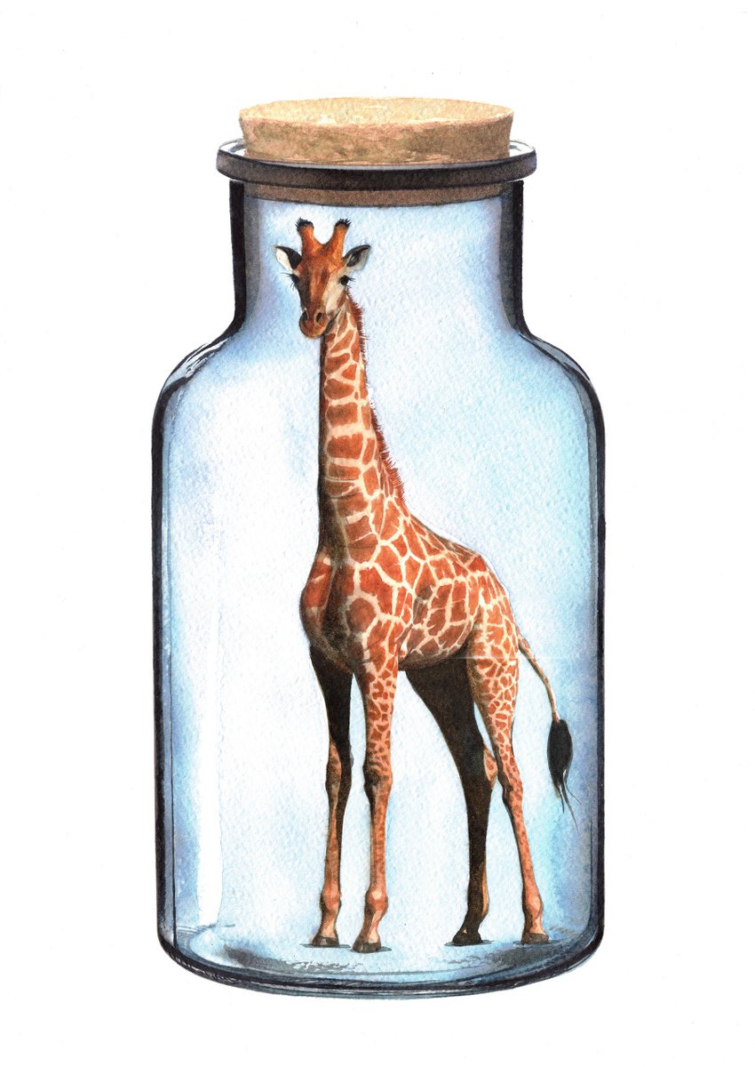 Giraffe in Jar V by REME Jr.