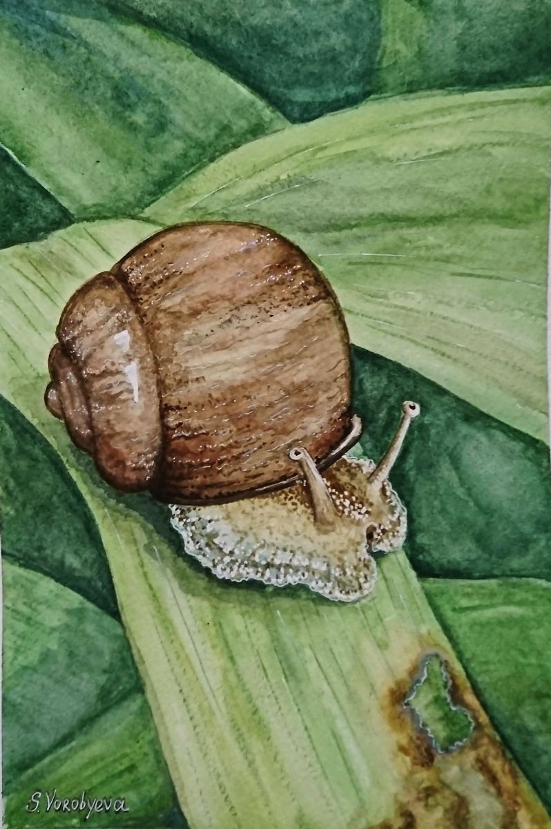 Snail by Svetlana Vorobyeva