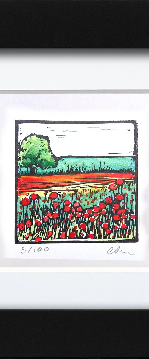 Poppies by Carolynne Coulson