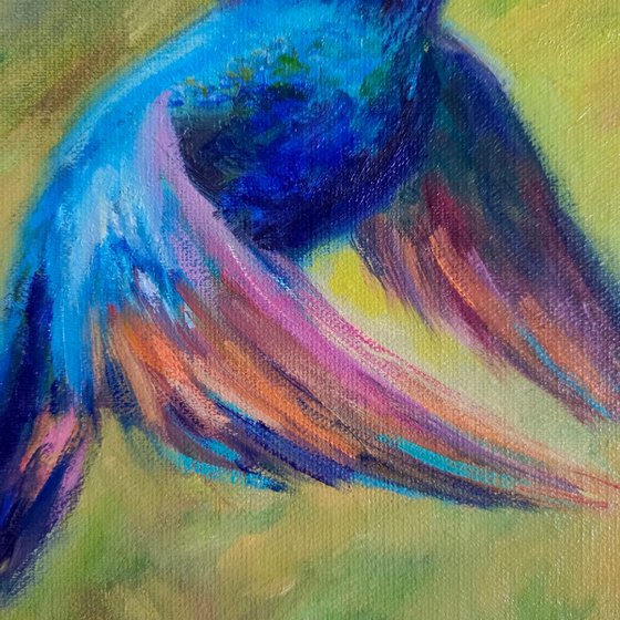 Hummingbird
