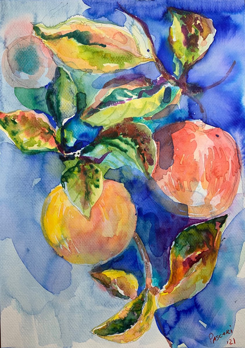 Apples by Olga Pascari