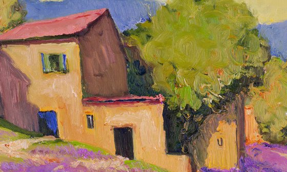 Lavender in French Villa