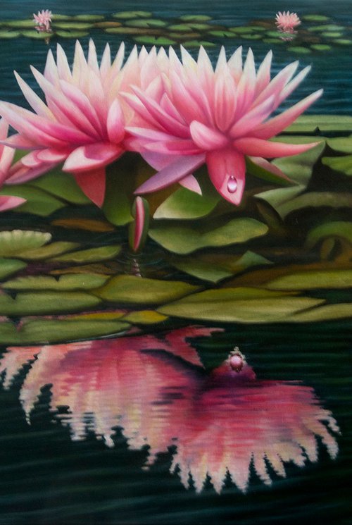 Pink Waterlilies Reflections by Juan Bernal