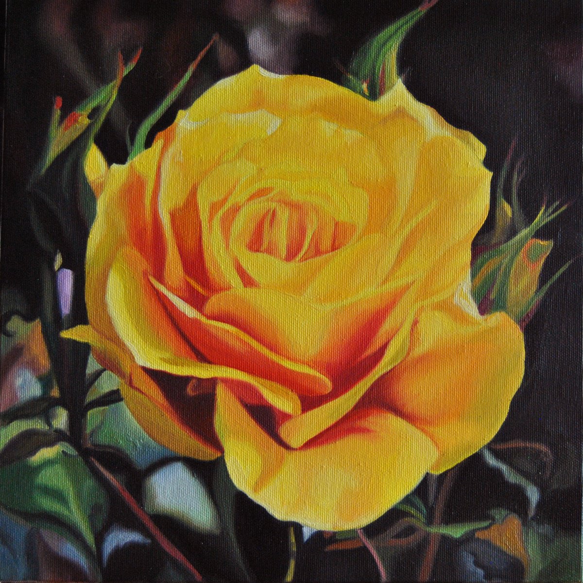 Photorealistic Botanical Oil Painting By Simona Tsvetkova, 12 X 12", Yellow Roses, Original Artwork