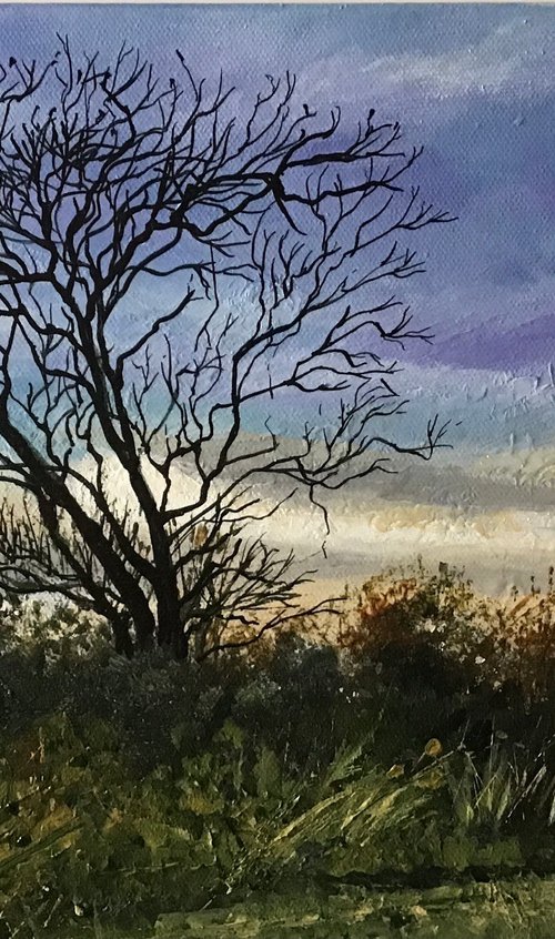Winter Sunset by Valerie Jobes