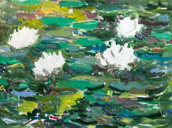 WATERLILY  - original oil landscape painting, summer, water lily garden