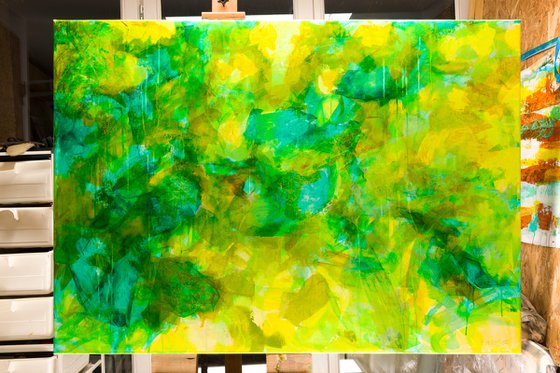 Green and yellow n°6