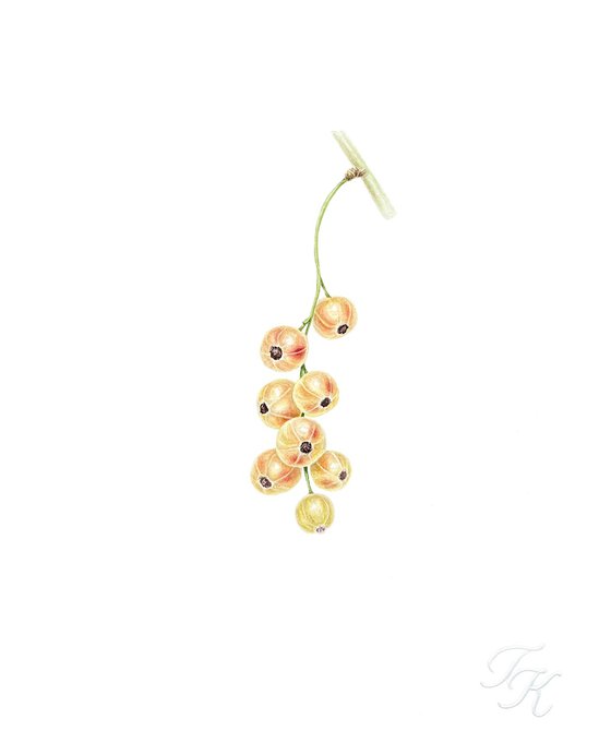 White currants