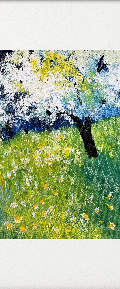 White Cherry Blossom Orchard by Teresa Tanner