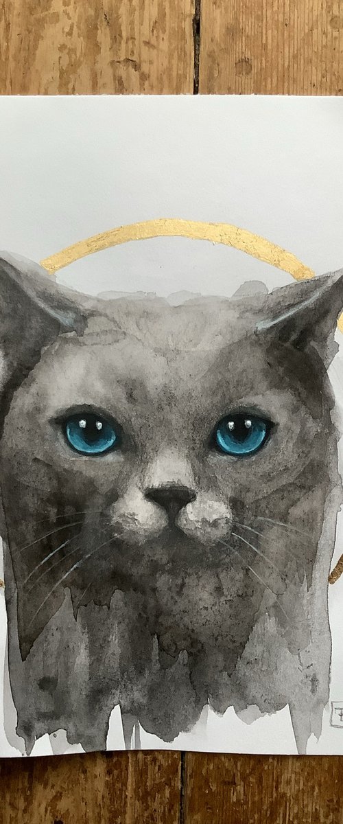 CHAT AUX YEUX BLEU by Eva Fialka