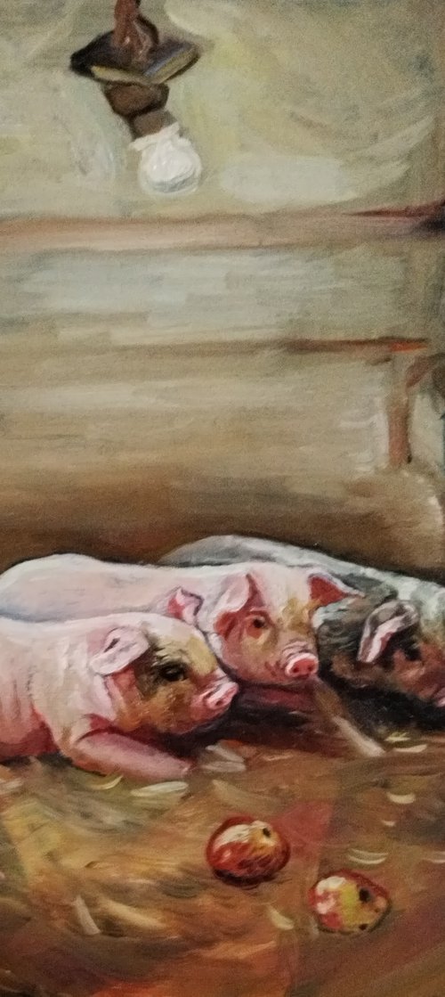 Pigs by Viktória Déri