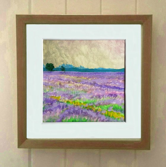 Lavender Fields - mounted landscape, small gift idea