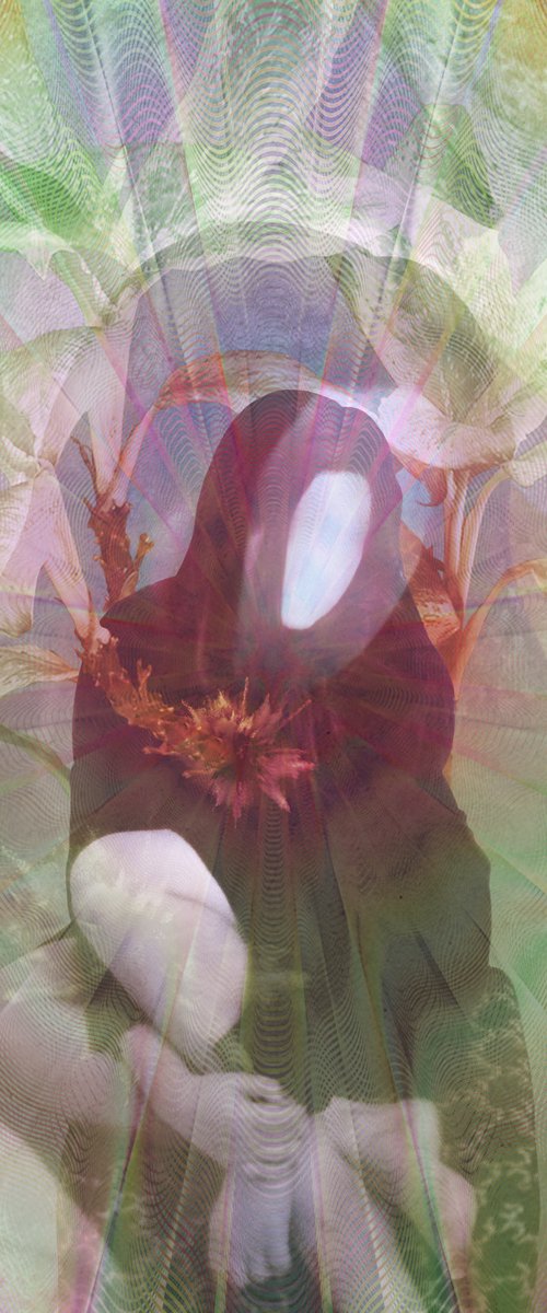 untitled - 39B by Rym Naim
