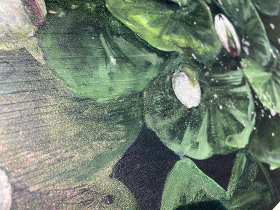 Silver Water Lilies