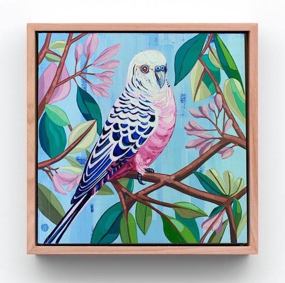 Budgie Beauties: Sparky