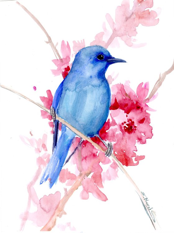 Mountain Bluebird and Spring Flowers