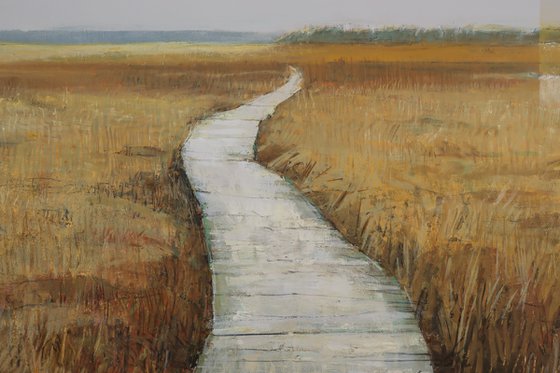 Wooden Path through the Swamp