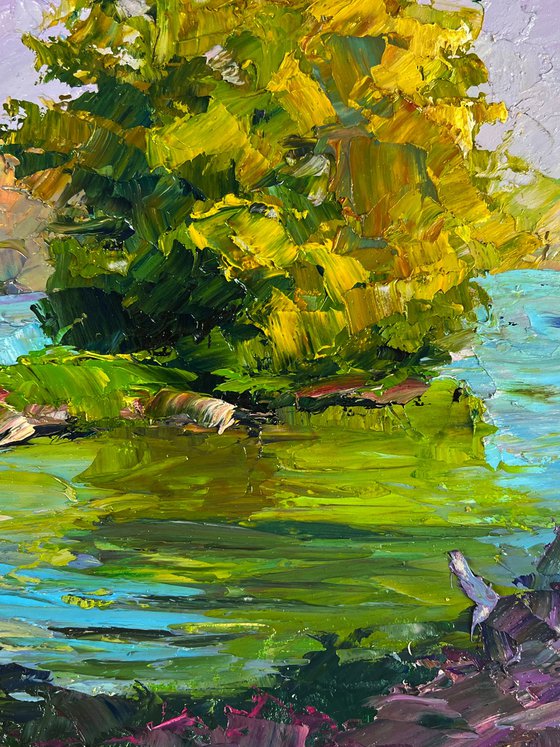 A River along the Forest