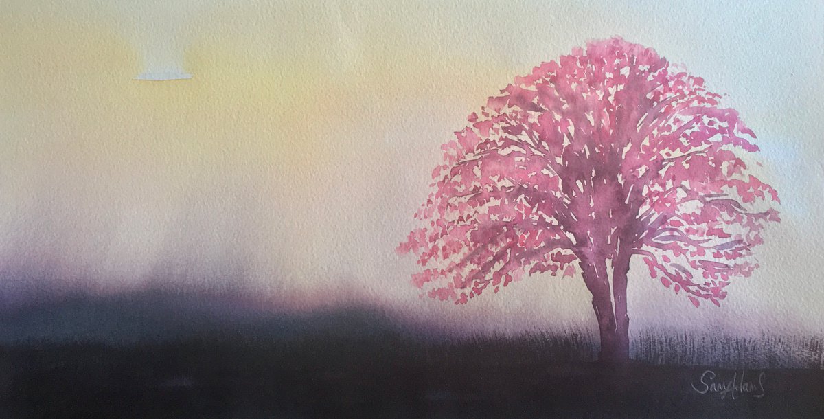 The cherry blossom tree by Samantha Adams