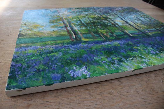 Bluebells and blooms