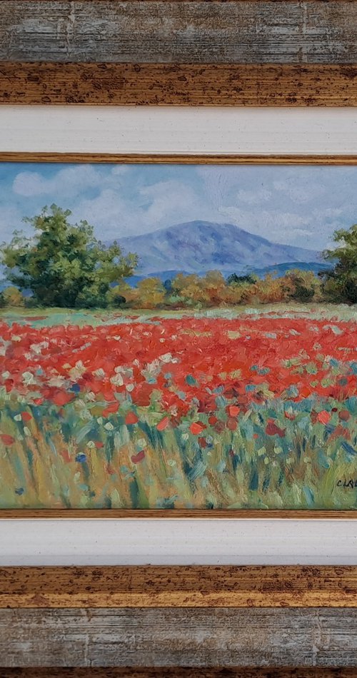 Poppies in Tuscany by Claudio Ciardi