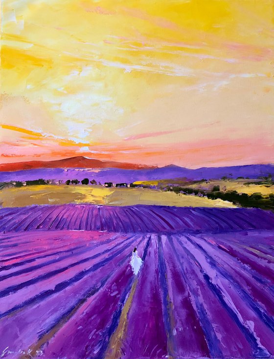 Sunset in lavander field
