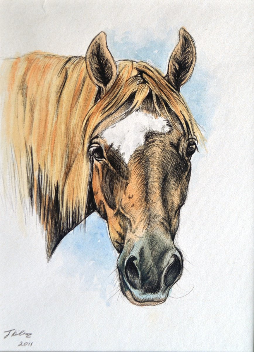 Chestnut Pony by Joanne Kitson