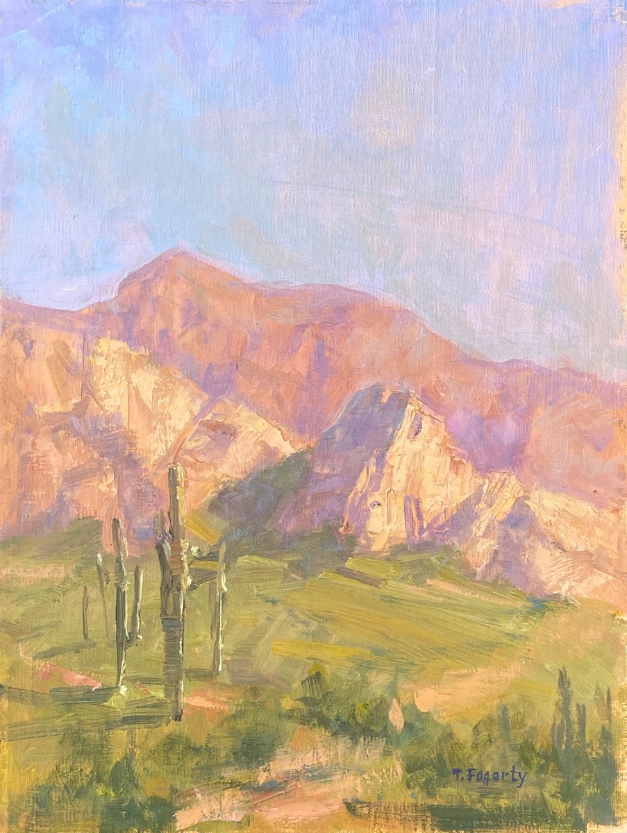 Desert Spring plein air Oil painting by Tatyana Fogarty Artfinder