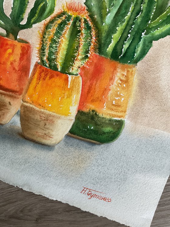 Three prickly friends