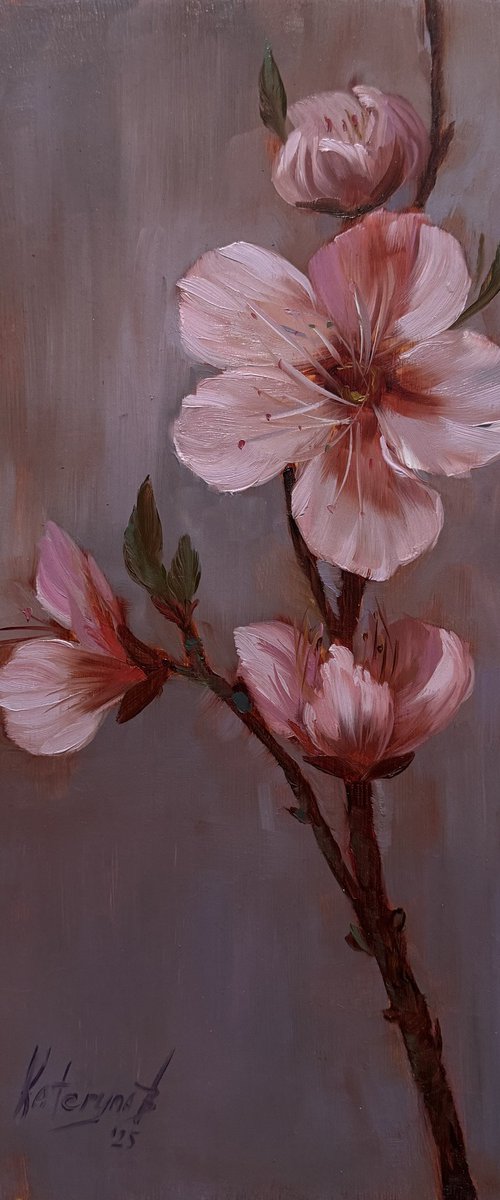 Peach blossom 2 by Kateryna Boykov