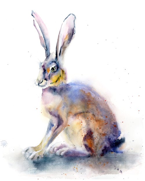 Rabbit by Olga Shefranov (Tchefranov)