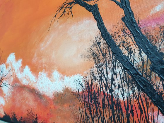 Red sunset
