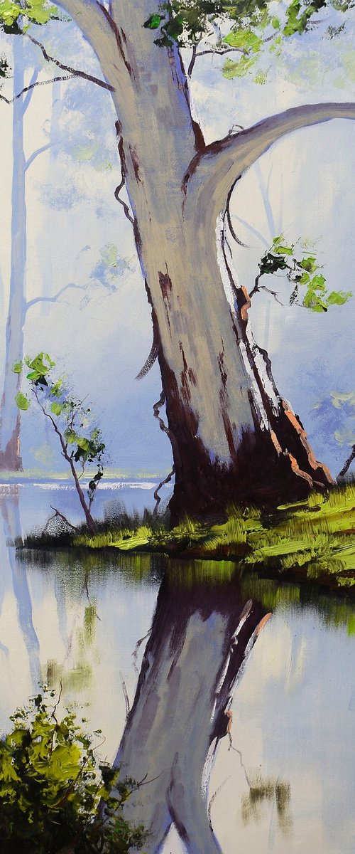 Australian river gum tree by Graham Gercken