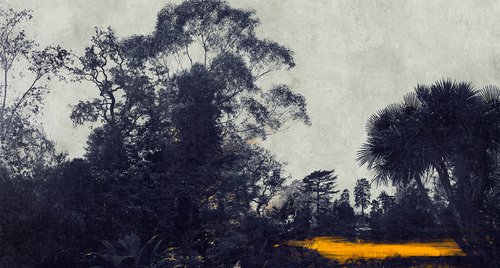 Artwork by Nadia Attura