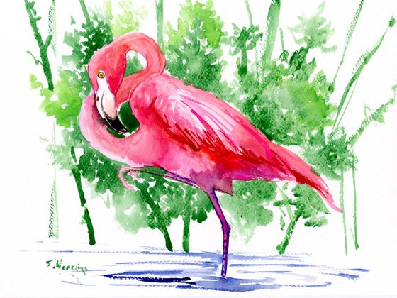 Flamingo