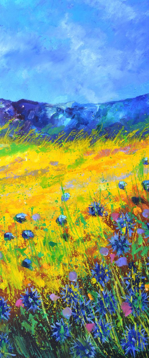 Blue cornflowers -10823 by Pol Henry Ledent