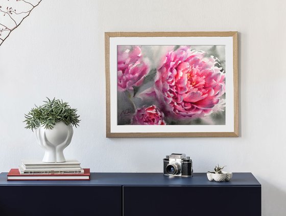 Pink peony