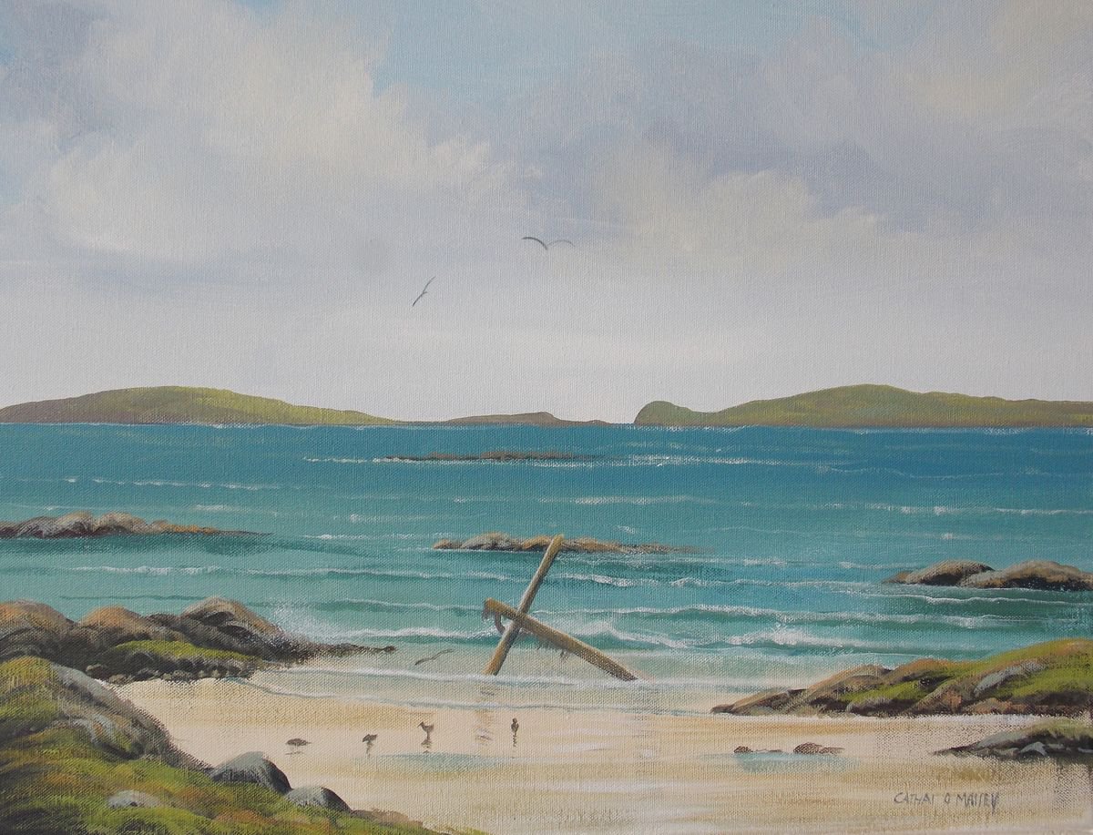 anchor beach by cathal o malley