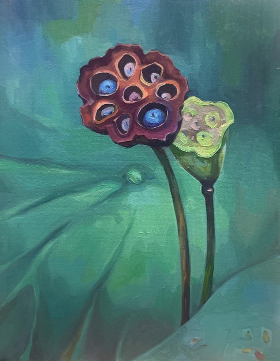 Lotus pods