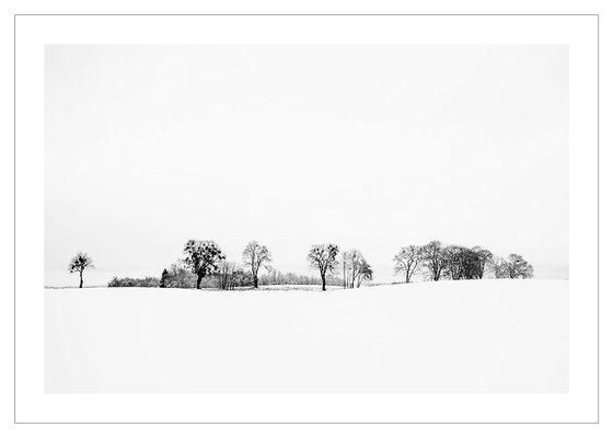 Winterscape with Trees