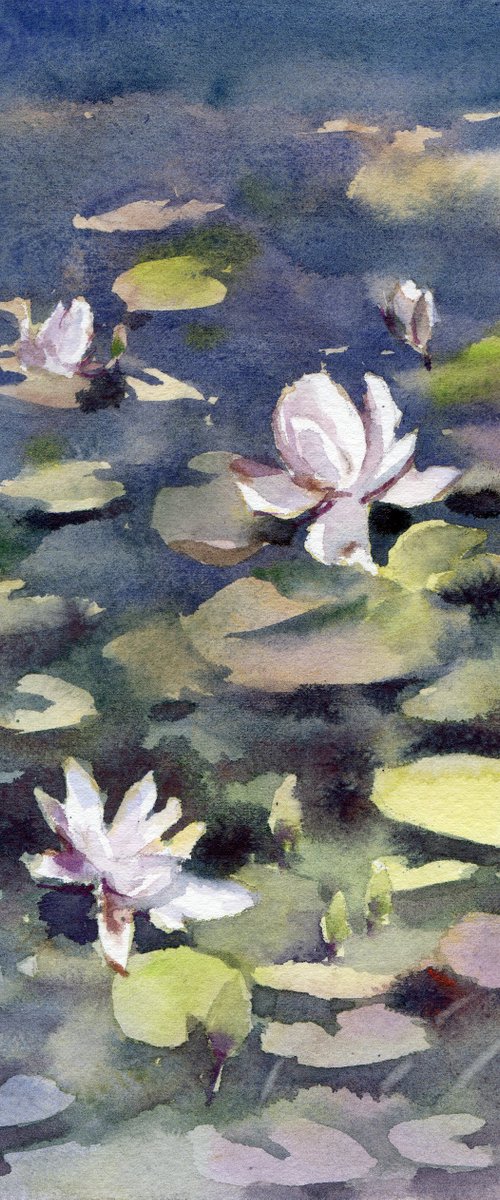 Water lilies, River flowers, White on dark blue by Yulia Evsyukova