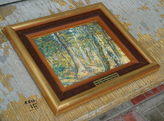 September. Forest. Surroundings of Ilyinki