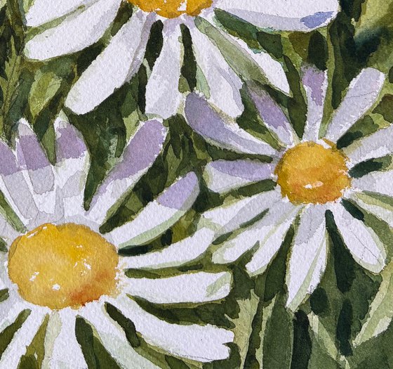 Daisy Dance