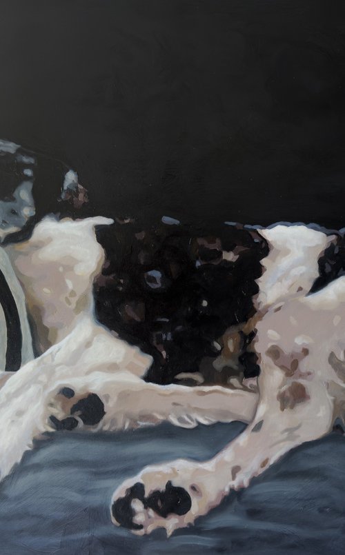 Safe in the quiet by Lorna Mousley
