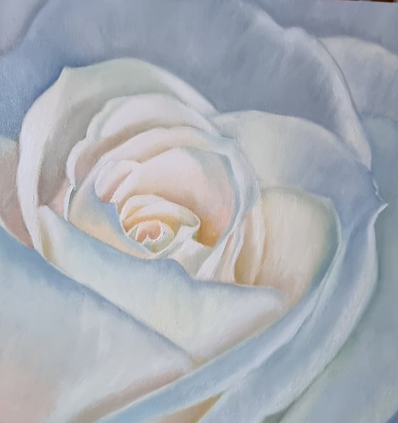 "Creme brulee."  rose flower  liGHt original painting  GIFT (2021)