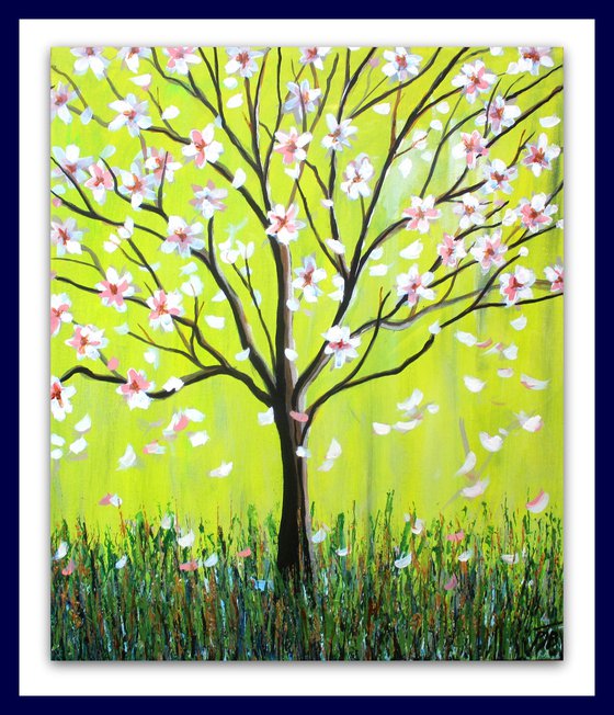 Magnolia Spring