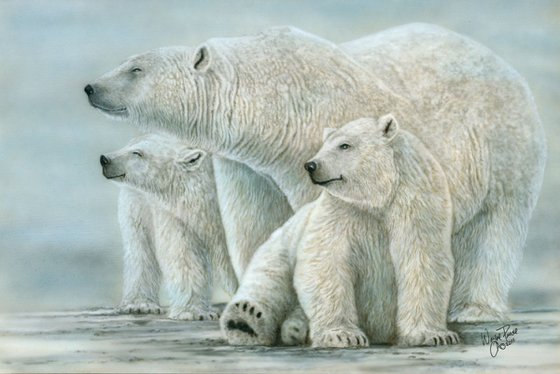 Tri Polar Bears