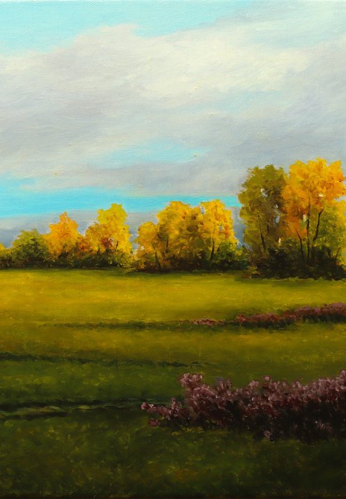 Wide field by Oleg Baulin